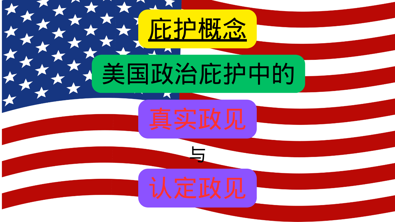 【庇护概念】美国政治庇护中真实的政治观点和认定的政治观点– 美国政治庇护